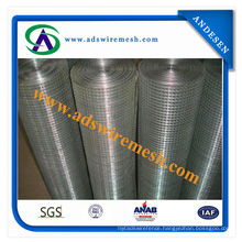Good Quality Welded Wire Mesh 3/8 Inch